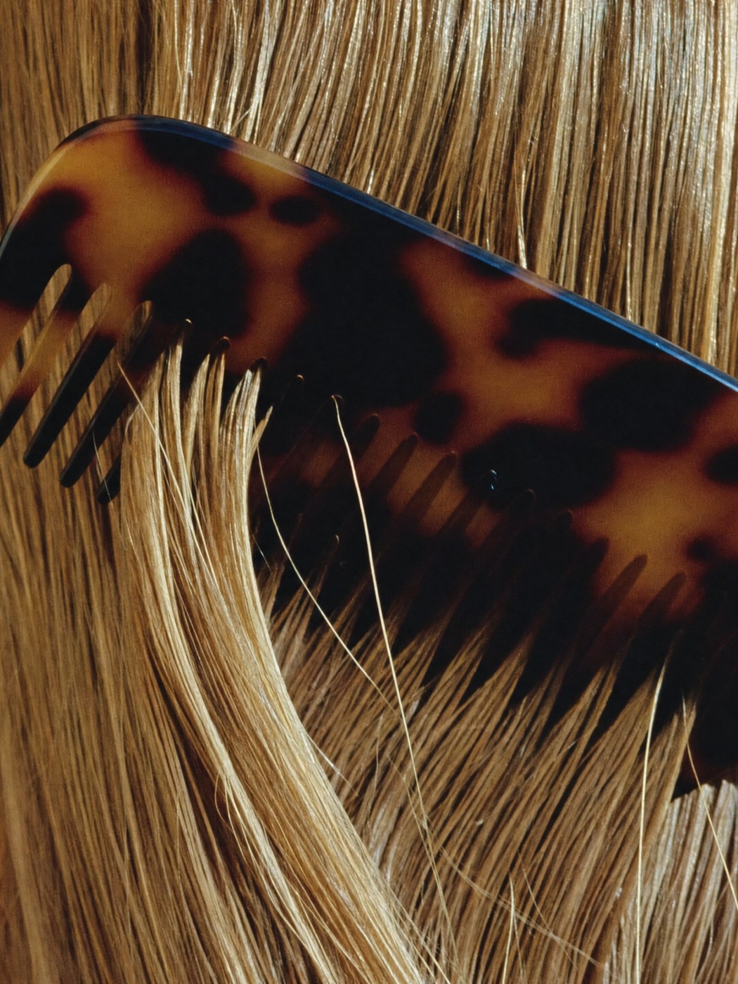 A tortoiseshell comb running through glossy hair